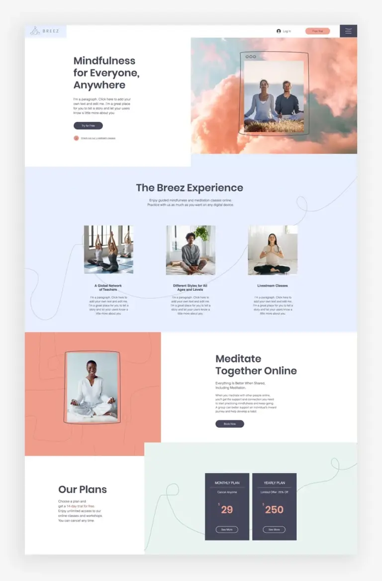 40 Simple Website Templates For Professionals