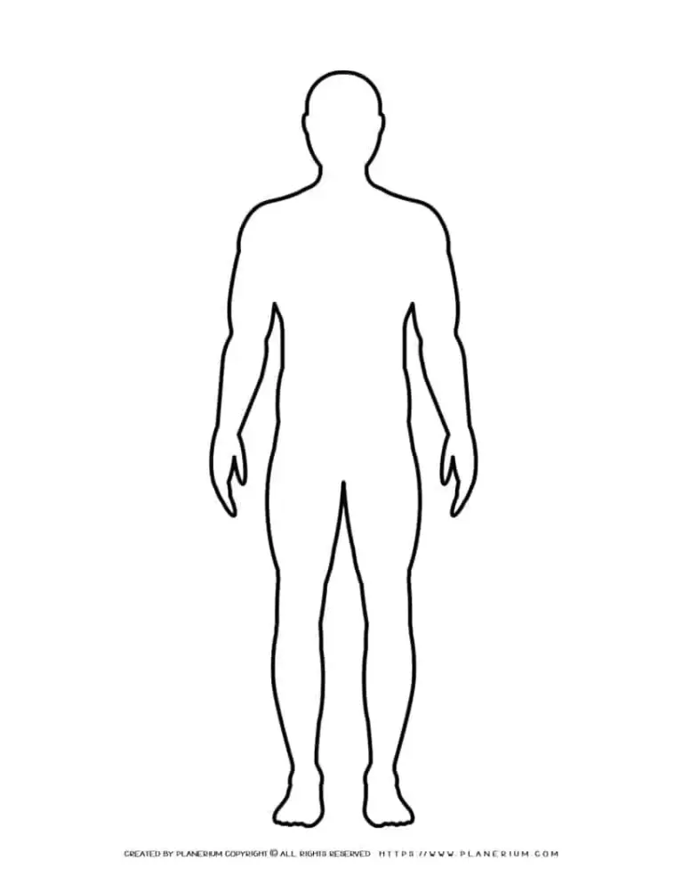Blank Male Body Outline Template For Teachers And Students