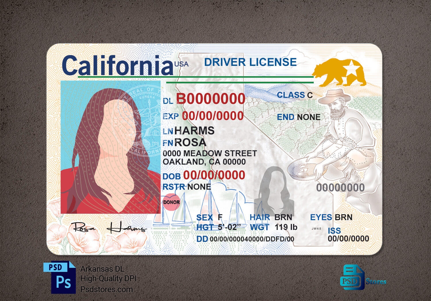 California Driver License Template V1 PSD Stores