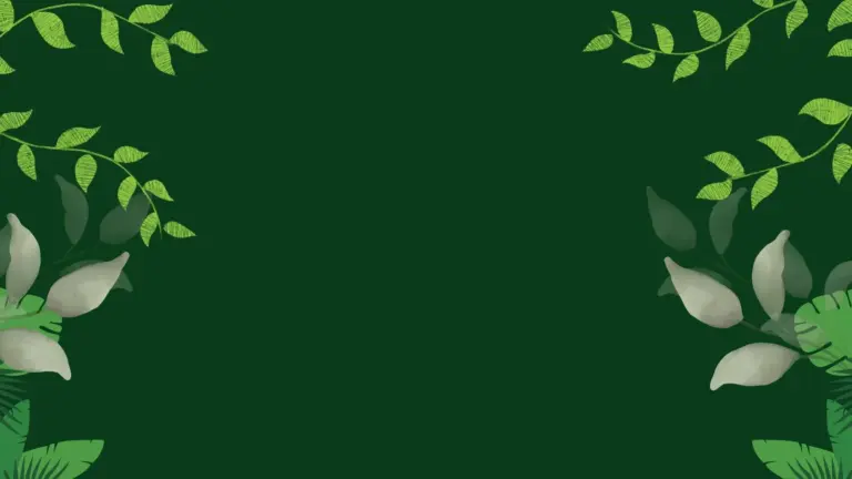Customize 96 Plant Zoom Virtual Background Templates Online Canva