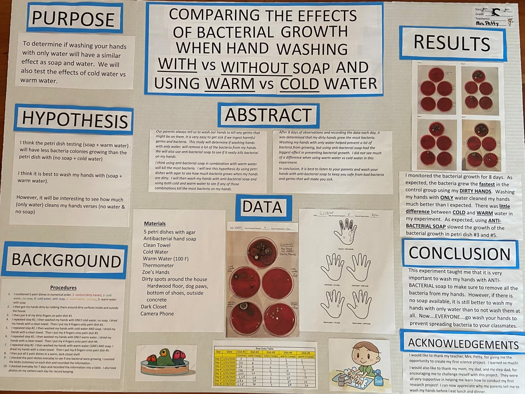 Example Projects Blossom Hill Science Fair