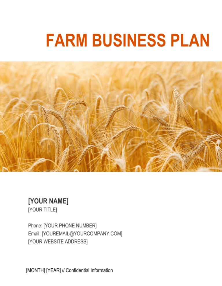 Farm Business Plan Template Free Word 