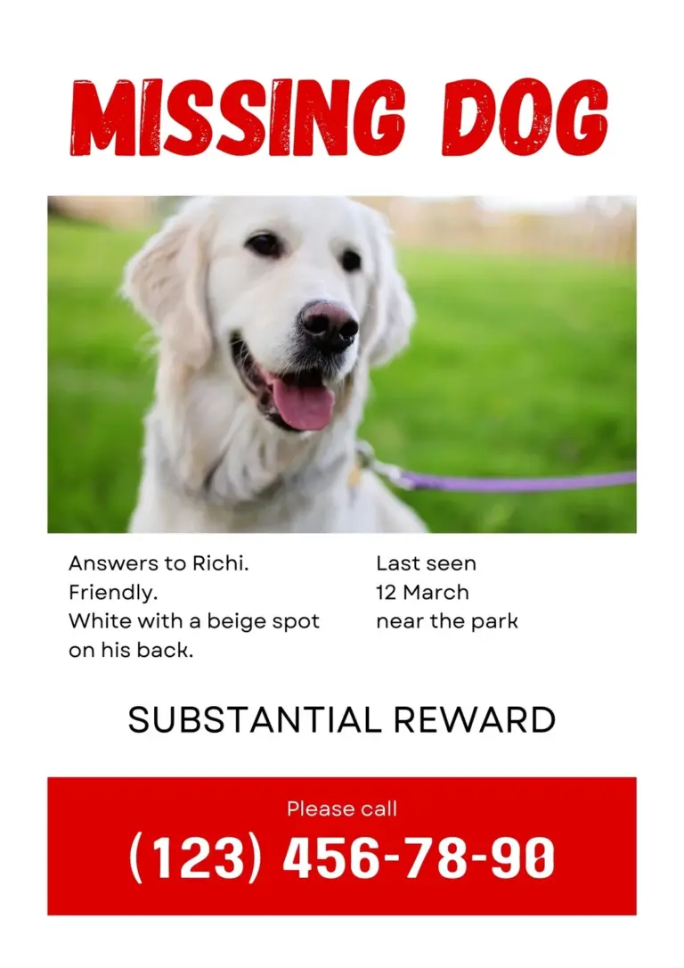 Free And Customizable Lost Dog Templates Canva
