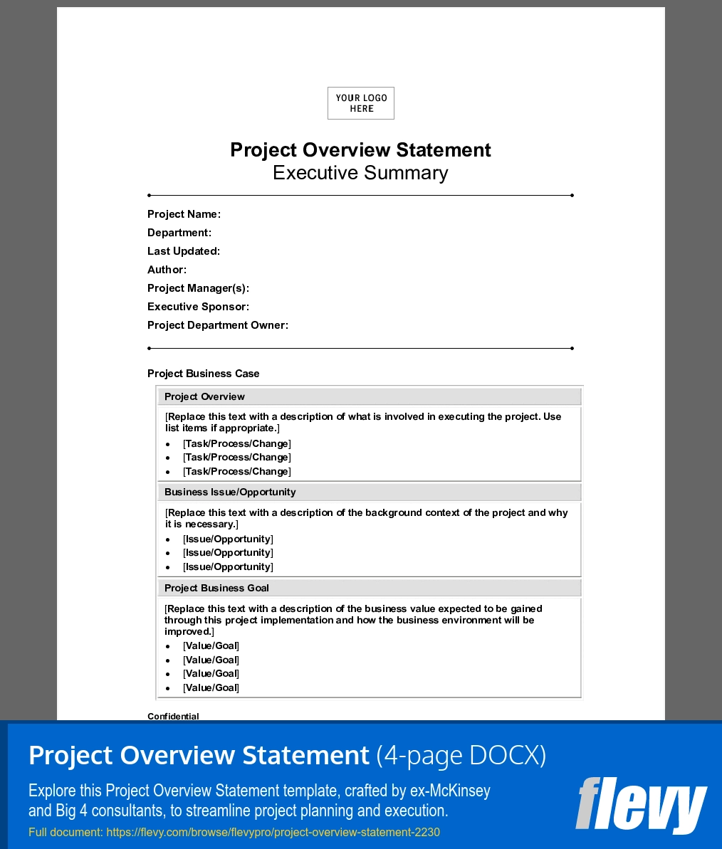 Project Overview Statement Word Template
