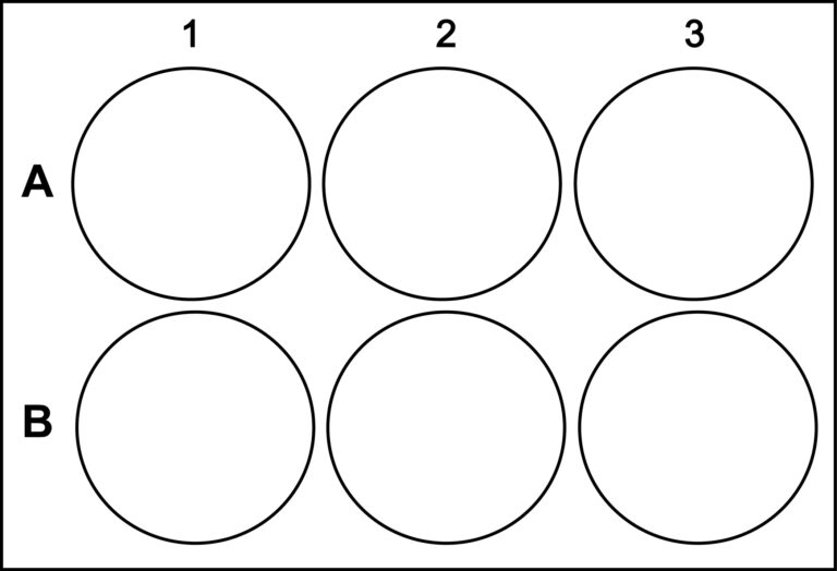 Templates