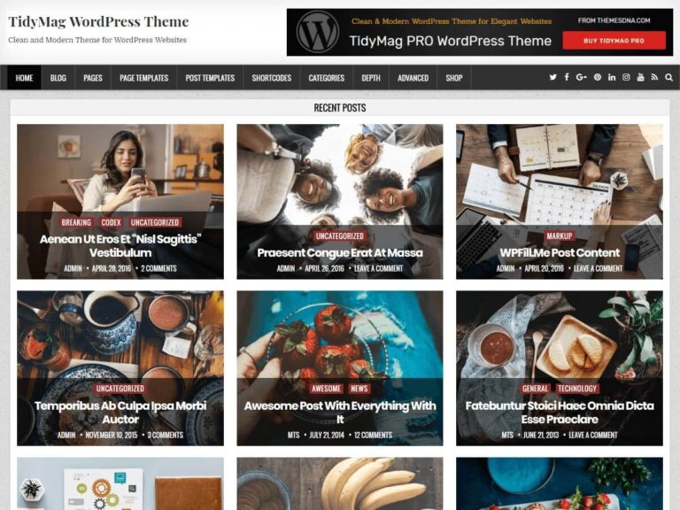 TidyMag WordPress Theme ThemesDNA